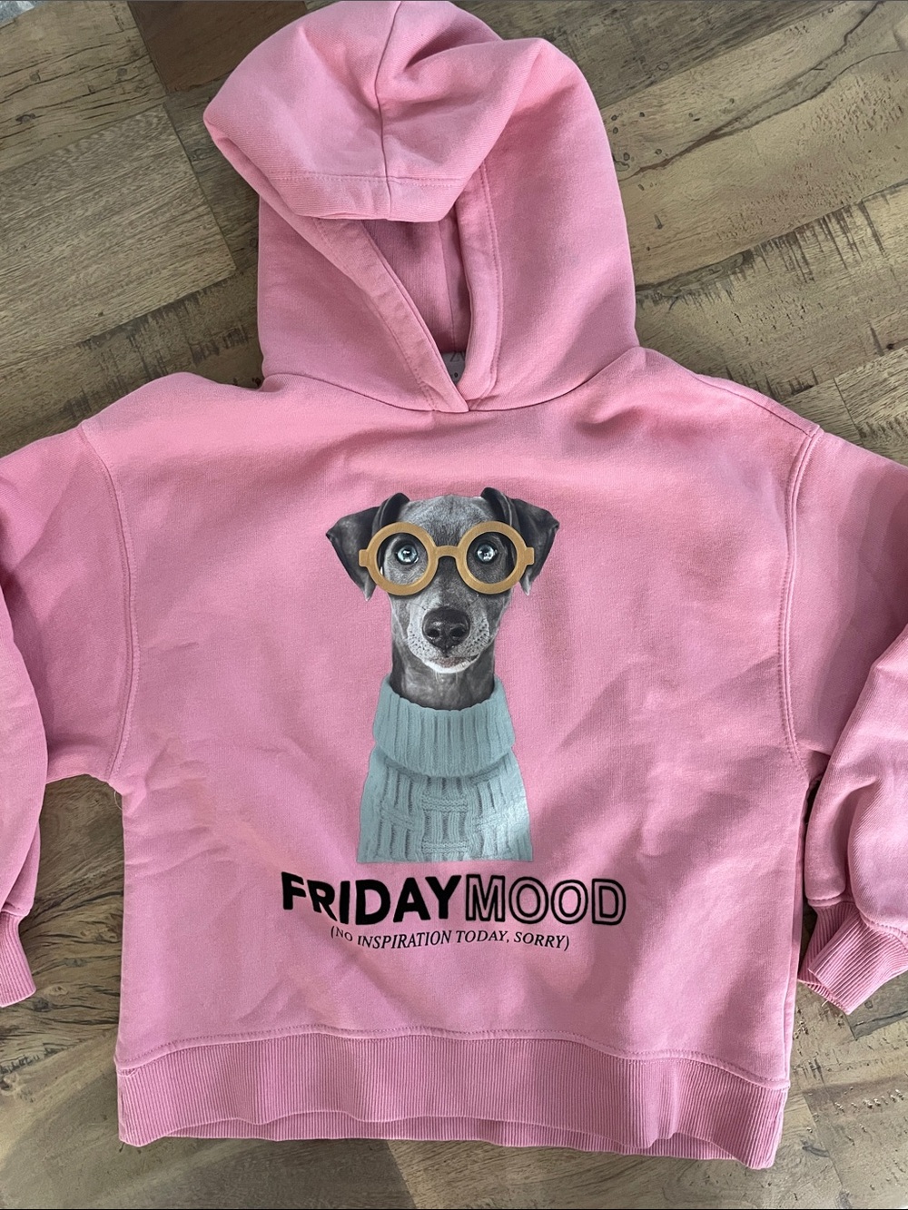 Zara Pink Kids Hoodie 'Friday Mood' Dog Graphic
